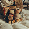 Olli Ella Cozy Dinkum Teddy - Twiggy