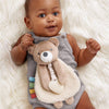 Itzy Lovey Theo Bear Plush + Teether Toy