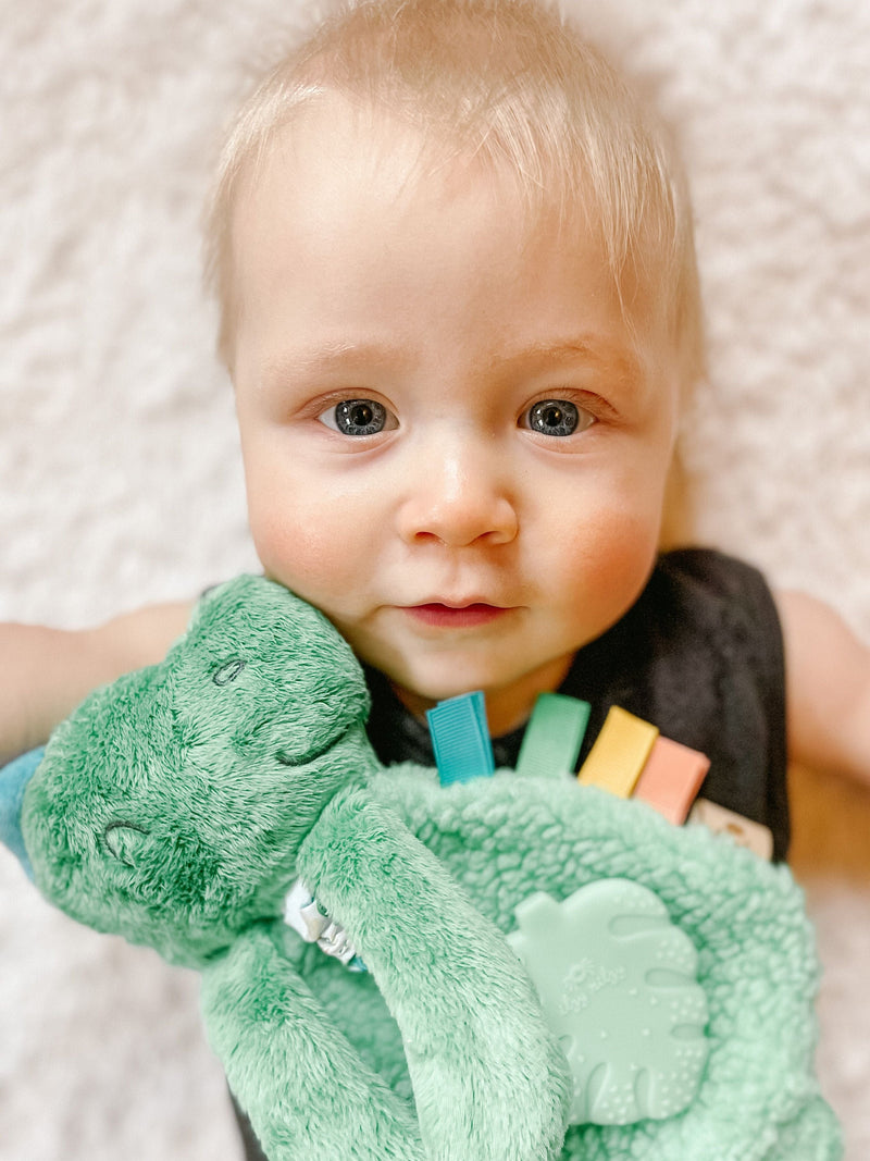 Itzy Lovey Green Dino Plush with Silicone Teether Toy - James the Dino