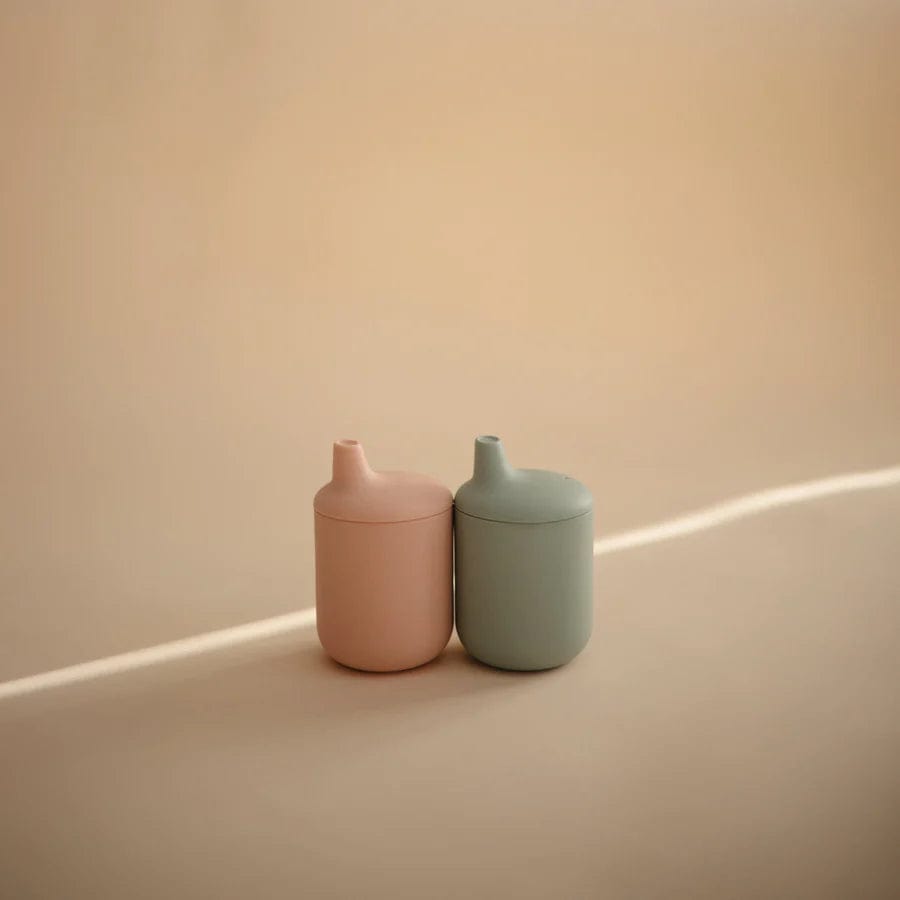 Silicone Sippy Cup (Blush)