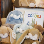 Bunnies By the Bay | My Book of Colors - Board Book